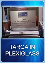 Targa plexi8