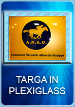 Targa plexiglass9